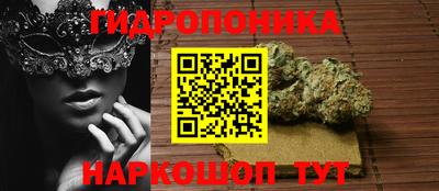 стафф Краснодар